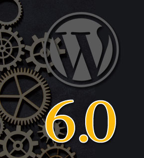 Wordpress website portfolio